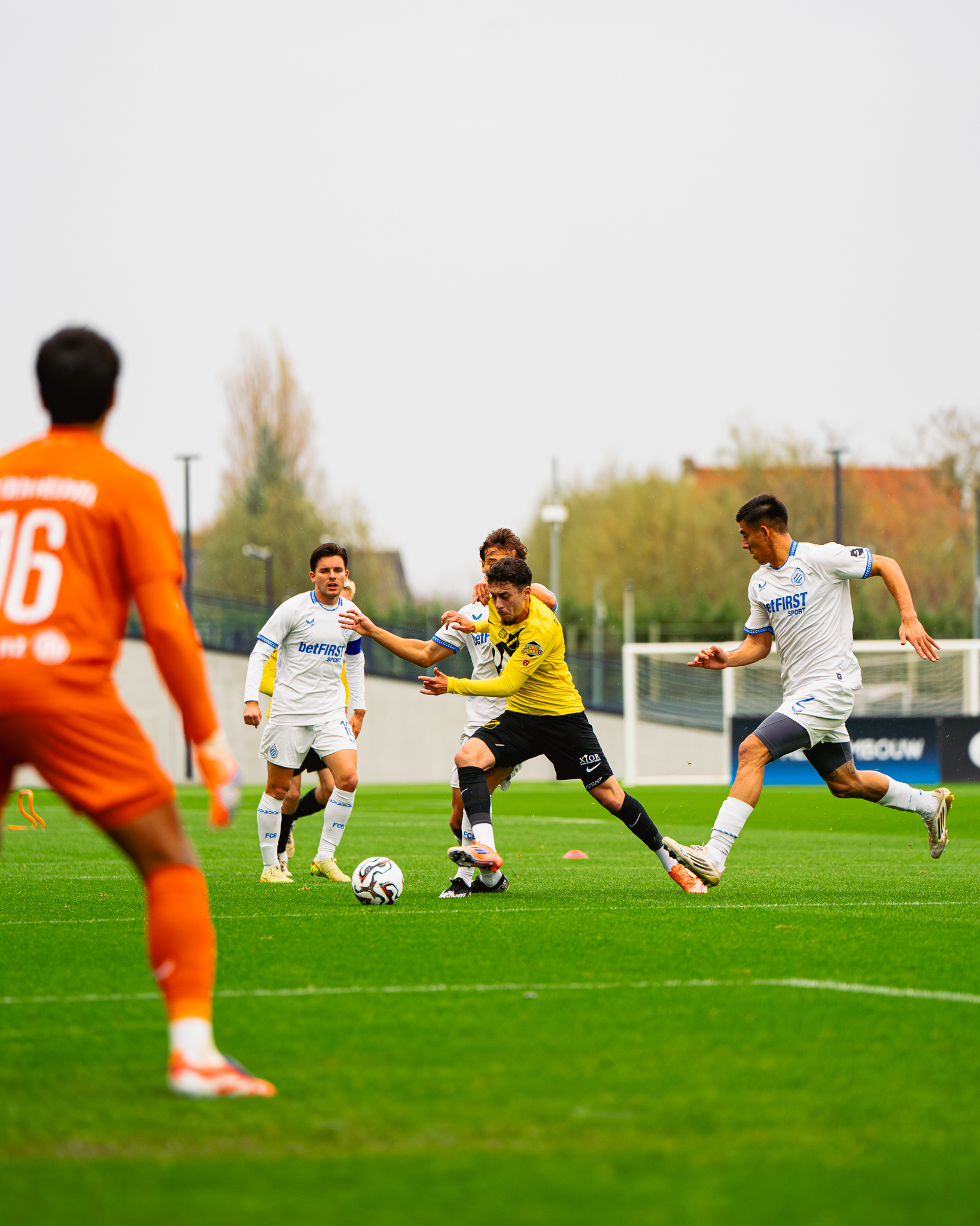 DSC04105-Enhanced-NR